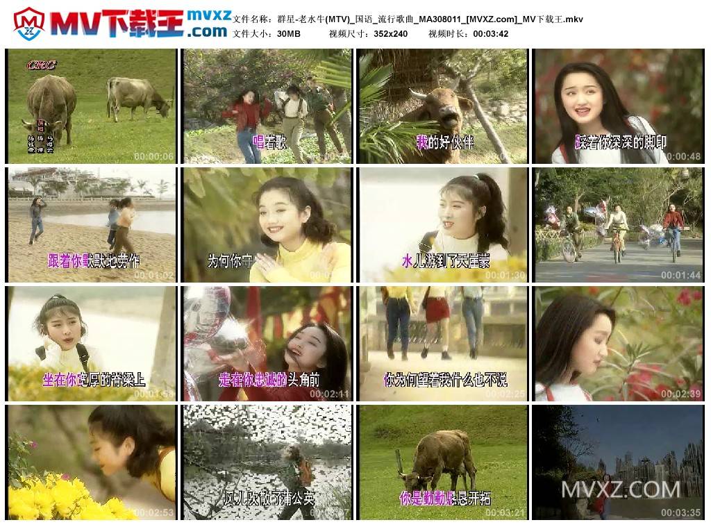 群星-老水牛(MTV)_国语_流行歌曲_MA308011